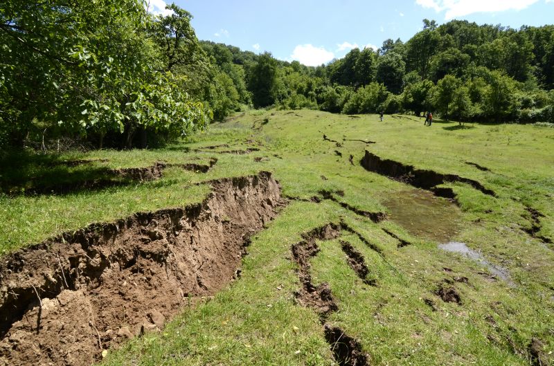 Lawn Erosion Repair