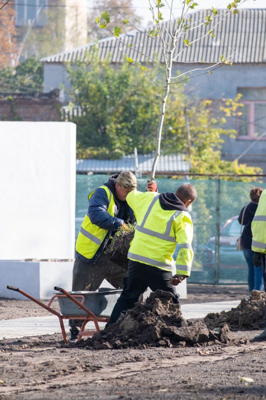 Tree Planting Service