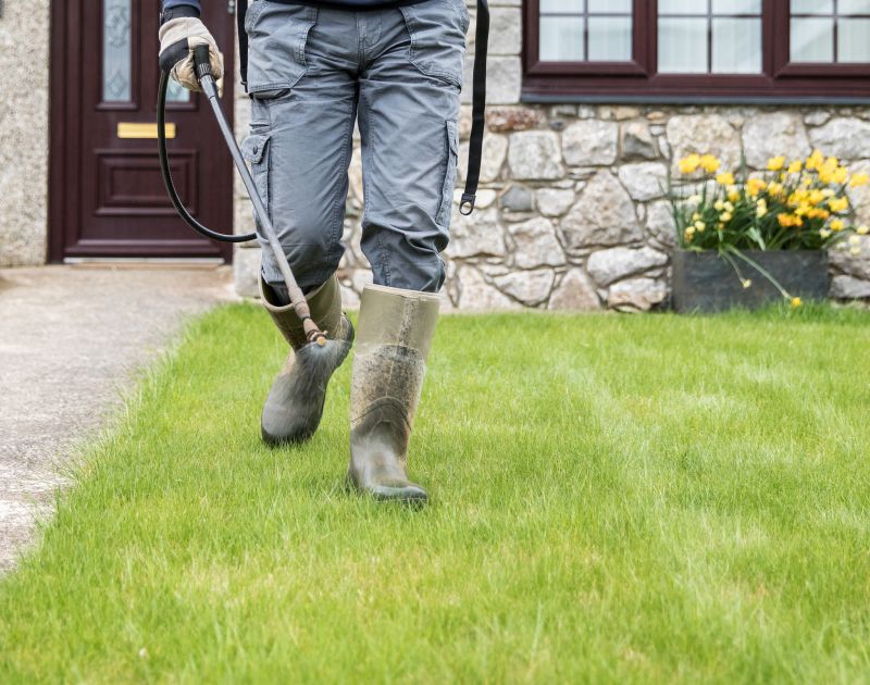 Yard Landscaping Service