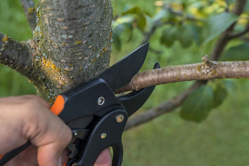 Pruning & Trimming