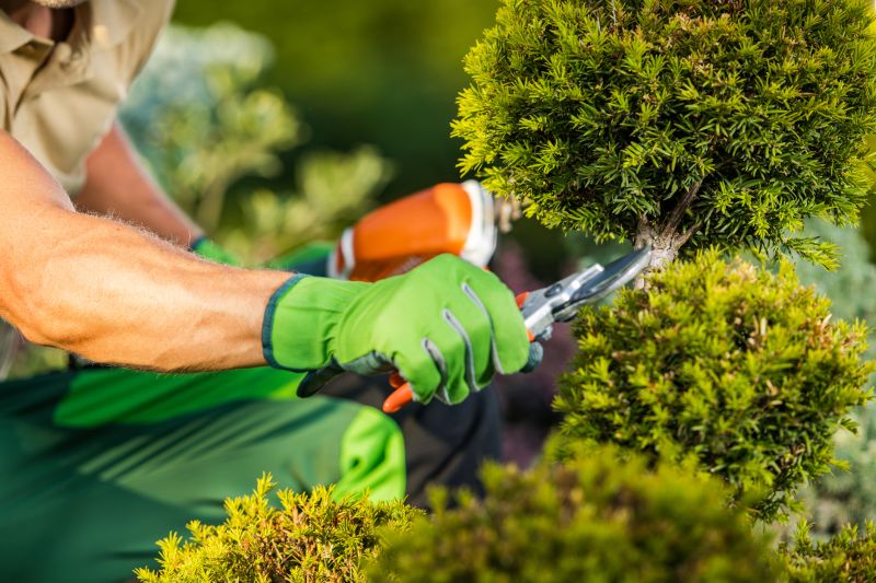 Pruned Shrubs and Trees