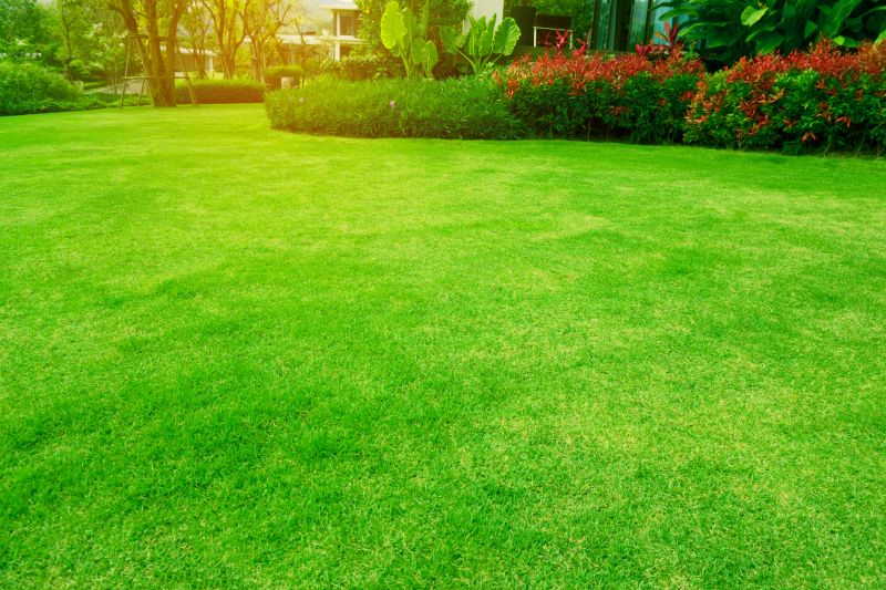 Healthy Lawn Care