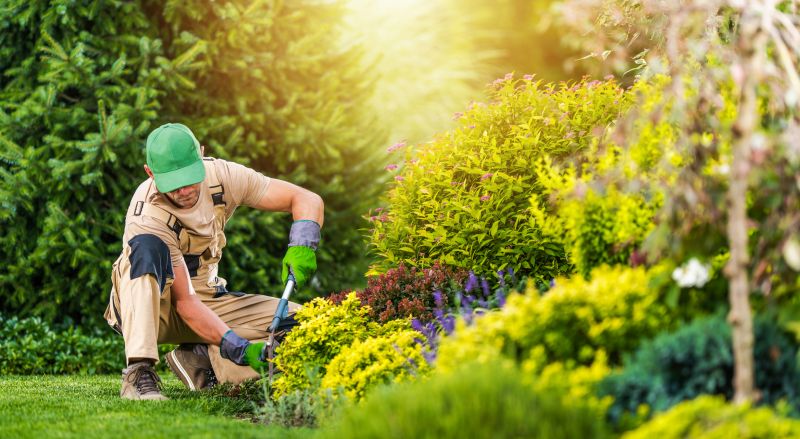Summer Landscape Care