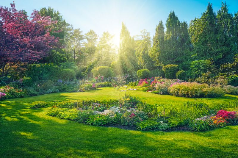 Beautiful Garden Landscape