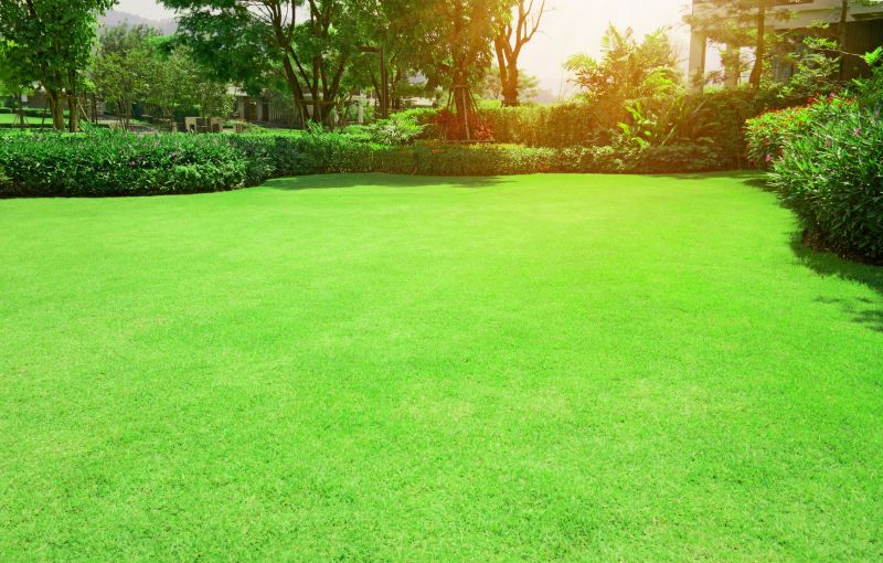 Lawn Erosion Repair