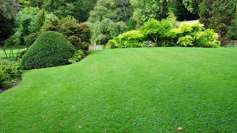 Lawn Landscaping