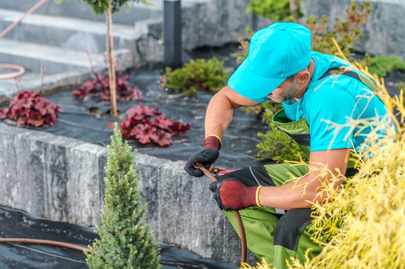 Lawn Repair Service