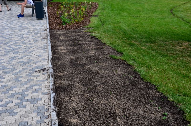 Yard Landscaping Service