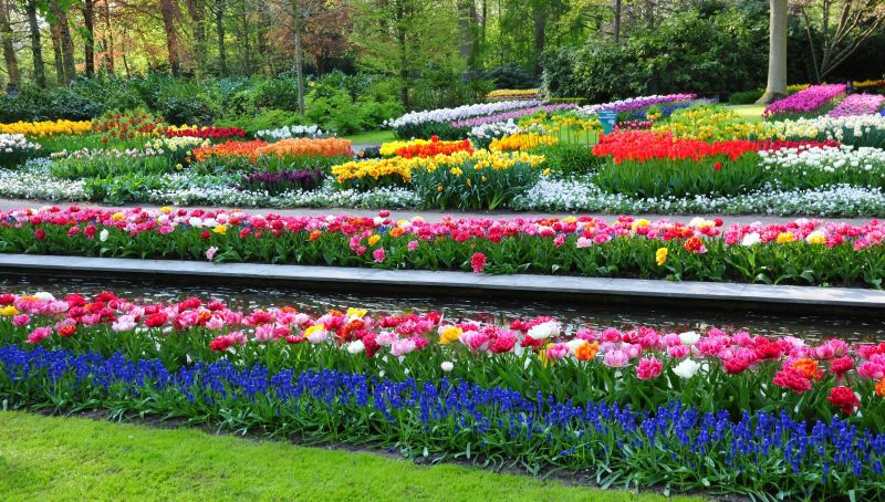 Hiring professionals ensures your plants, lawn, and flowers stay healthy